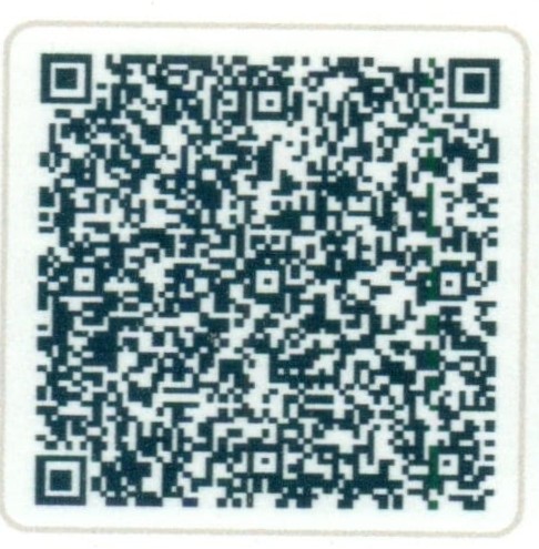 UPI QR Code